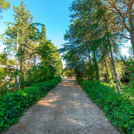 Gelso Moro Semesterbostad Monteroni di Lecce