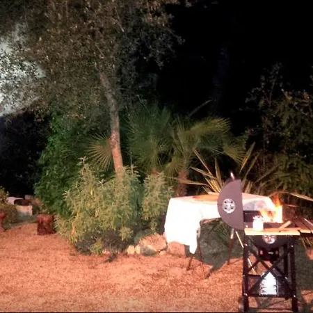 Gelso Moro * Monteroni di Lecce